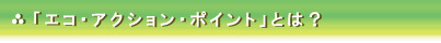 エコアクションポイントとは・・・？